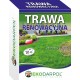 TRAWA RENOWACYJNA 0,5KG EKODARPOL