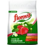 NAWÓZ DO TRUSKAWEK 1 KG FLOROVIT