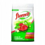 NAWÓZ DO TRUSKAWEK 3KG FLOROVIT