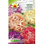 ASTER POENIOWY MIX 1G TORAF