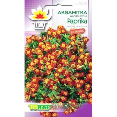 AKSAMITKA WĄSKOLISTNA PAPRIKA 0,5G TORAF