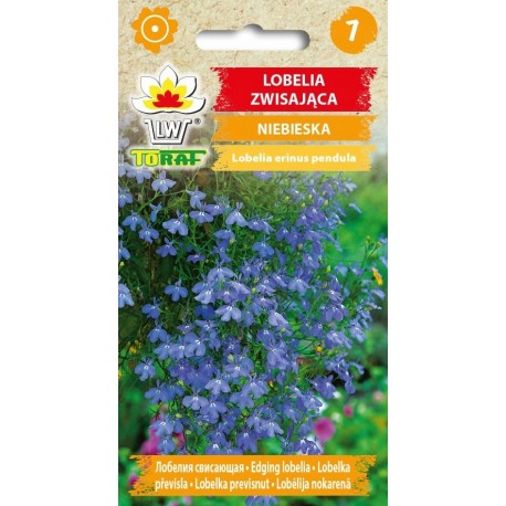 KWIAT LOBELIA ZWIS NIEB 0,2G TORAF