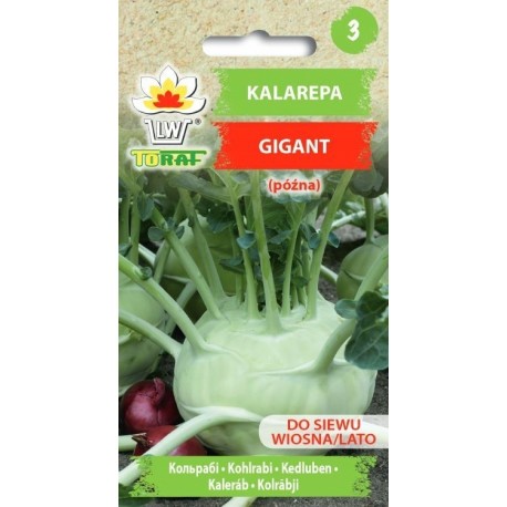 KALAREPA GIGANT 2G TORAF