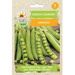 GROCH AMBROSIA 50G TORAF