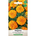 AKSAMITKA TANGERINE 1G WEGANA