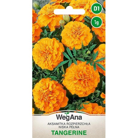 AKSAMITKA TANGERINE 1G WEGANA