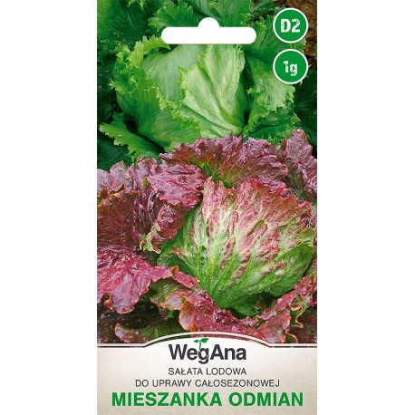 SAŁATA LODOWA MIESZANKA ODMIAN 1G WEGANA