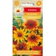 RUDBEKIA DWUBARWNA 1G TORAF