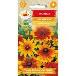 RUDBEKIA DWUBARWNA 1G TORAF