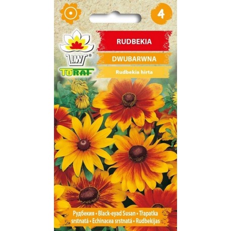 RUDBEKIA DWUBARWNA 1G TORAF