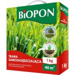 TRAWA SAMOZAGĘSZCZAJĄCA 1KG BOIPON