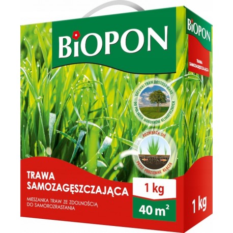 TRAWA SAMOZAGĘSZCZAJĄCA 1KG BOIPON