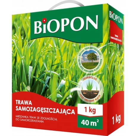 TRAWA SAMOZAGĘSZCZAJĄCA 0,3 KG BIOPON