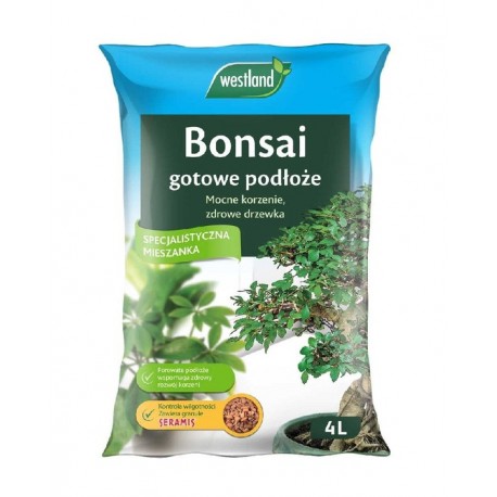 PODŁOŻE DO BONSAI 4L WESTLAND