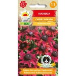 RUDBEKIA CHERRY BRANDY 0,1G TORAF