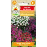 PETUNIA ZWISAJĄCA MIX 0,3G TORAF