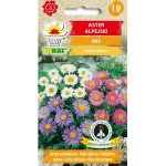 KWIAT ASTER ALPEJSKI MIX 0,5G TORAF