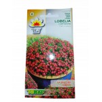 LOBELIA CZERWONA 0,1G TORAF