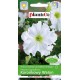 Petunia ogr.Koronkowy Welon a 0 05g ST PLANTICO