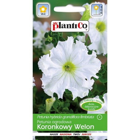 Petunia ogr.Koronkowy Welon a 0 05g ST PLANTICO