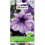 Petunia ogr. Tęcza 0 05g /Pl PLANTICO